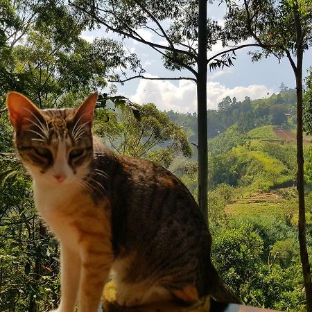 Waterfalls Homestay Ella Exterior foto