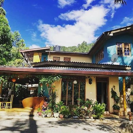 Waterfalls Homestay Ella Exterior foto